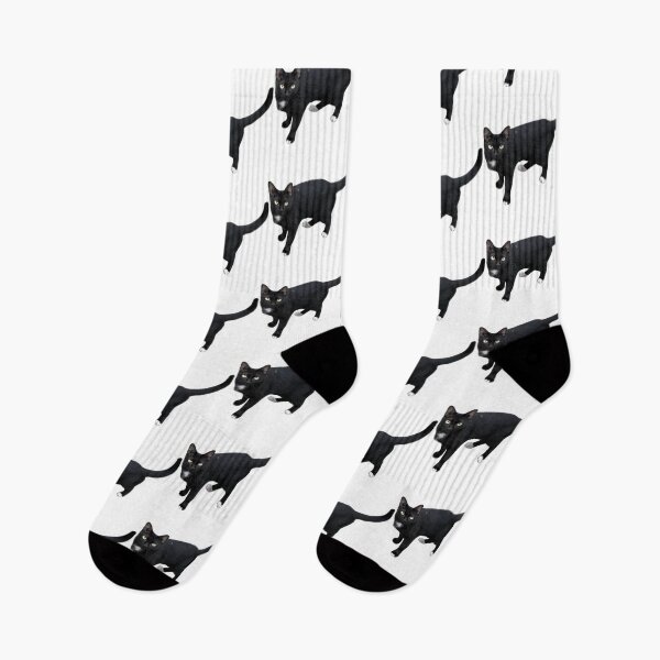 Item preview, beautiful sleek black cat standing and looking at the camera, isolated on a clean white background, perfect for pet-related designs and projects. designed and sold by pipikijung.