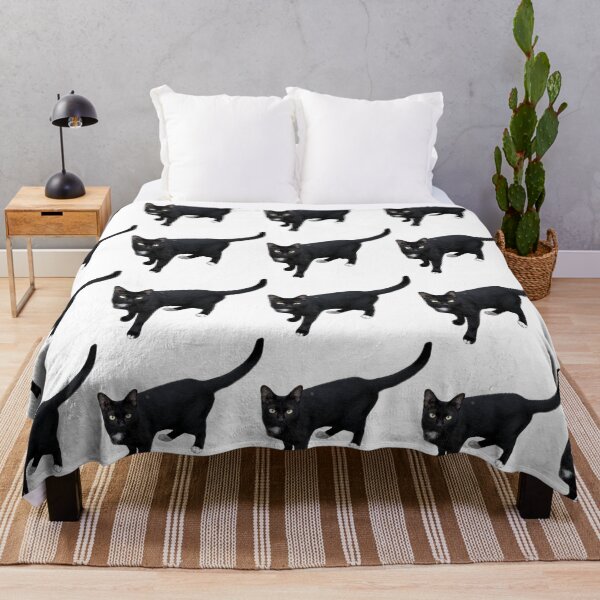 Item preview, beautiful sleek black cat standing and looking at the camera, isolated on a clean white background, perfect for pet-related designs and projects. designed and sold by pipikijung.