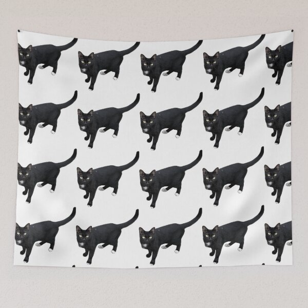 Item preview, beautiful sleek black cat standing and looking at the camera, isolated on a clean white background, perfect for pet-related designs and projects. designed and sold by pipikijung.