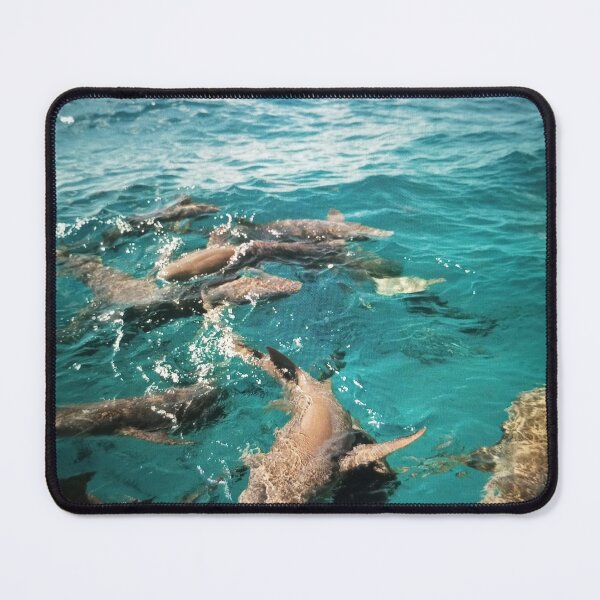 Item preview, Nurse Sharks Swimming in Clear Waters designed and sold by phlndg.