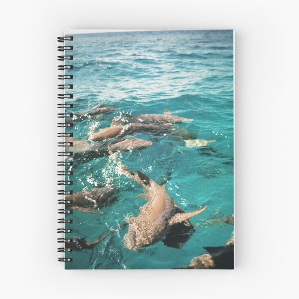 Item preview, Nurse Sharks Swimming in Clear Waters designed and sold by phlndg.