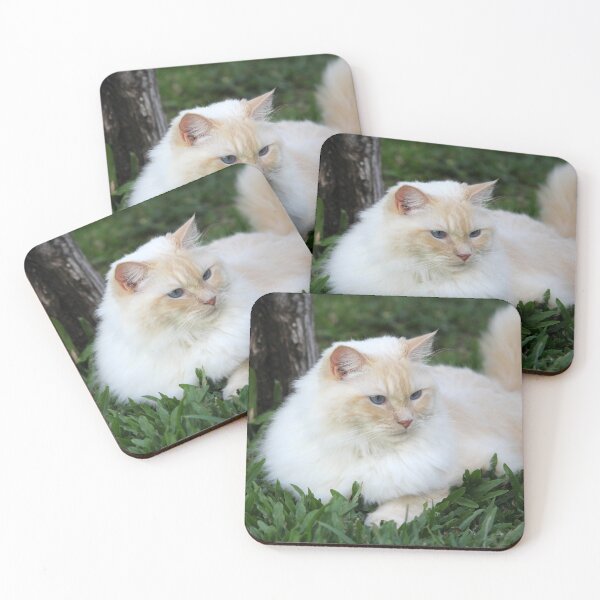 Item preview, Fluffy Flame Red Point Ragdoll Cat Outdoor designed and sold by 27Tammy27.