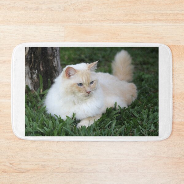 Item preview, Fluffy Flame Red Point Ragdoll Cat Outdoor designed and sold by 27Tammy27.