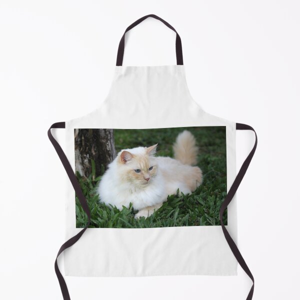 Item preview, Fluffy Flame Red Point Ragdoll Cat Outdoor designed and sold by 27Tammy27.