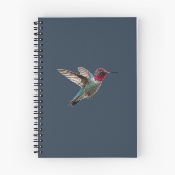 Item preview, Bee Humming Bird designed and sold by ArunDandiboina.