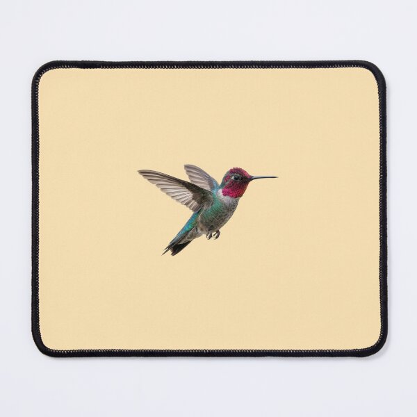 Item preview, Bee Humming Bird designed and sold by ArunDandiboina.