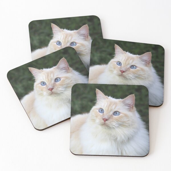 Item preview, Beautiful Blue Eyed Flame Red Point Ragdoll designed and sold by 27Tammy27.