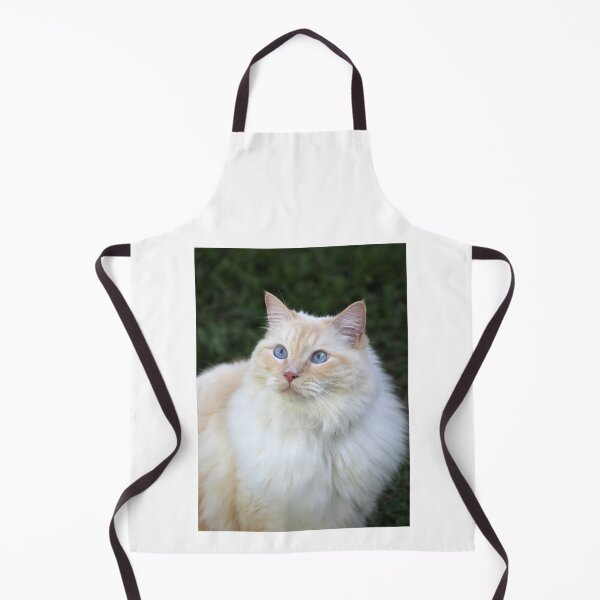 Item preview, Beautiful Blue Eyed Flame Red Point Ragdoll designed and sold by 27Tammy27.