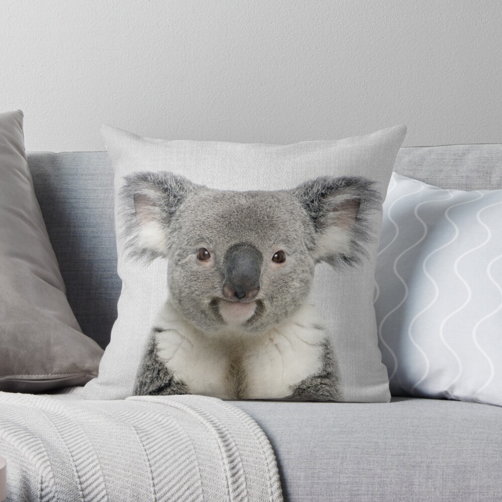 the koala pillow