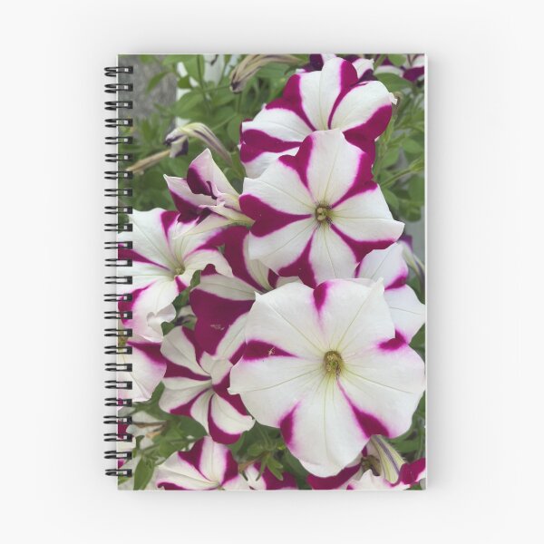 Item preview, Petunias  designed and sold by Amanda1775.