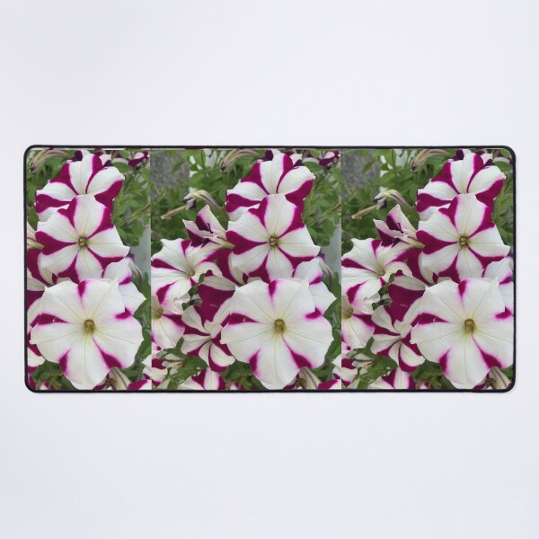 Item preview, Petunias designed and sold by Amanda1775.