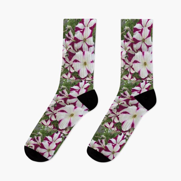 Item preview, Petunias  designed and sold by Amanda1775.