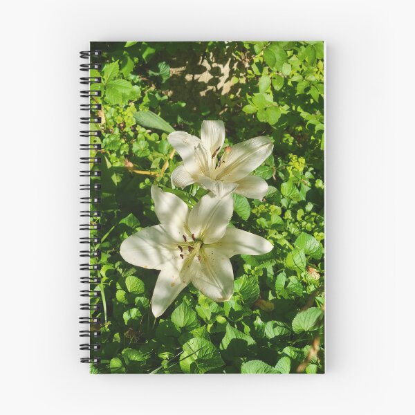 Item preview, Under the Shadows of the Sun designed and sold by Lunar Bound Imagery .