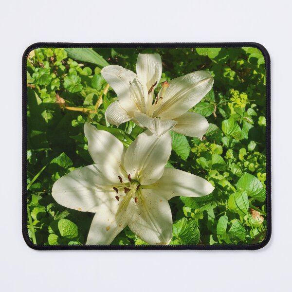 Item preview, Under the Shadows of the Sun designed and sold by Lunar Bound Imagery .