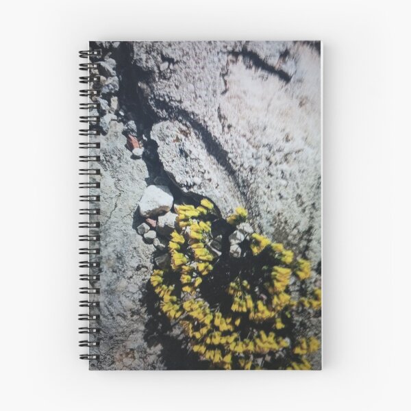 Item preview, Flores amarillas en medio de terreno rocoso designed and sold by vlikdon.