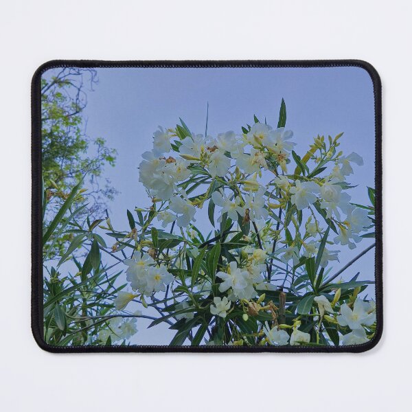 Item preview, spring bloom, Nerium oleander designed and sold by Lunar-Dragon.
