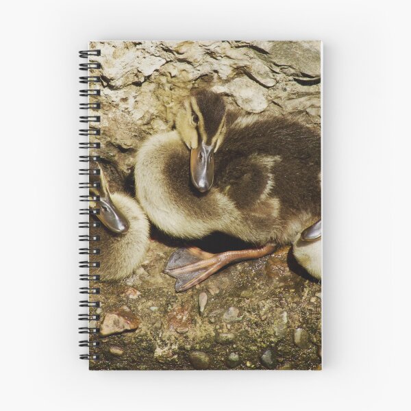 Item preview, Three ducklings  designed and sold by Kerrie-Ann Ellison.