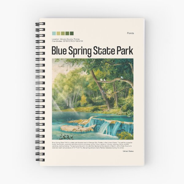 Item preview, Blue Spring State Park Poster (Florida), USA designed and sold by PinkandP.