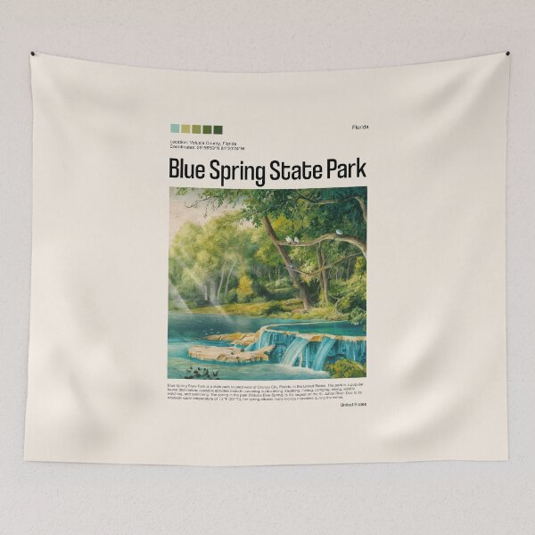 Item preview, Blue Spring State Park Poster (Florida), USA designed and sold by PinkandP.