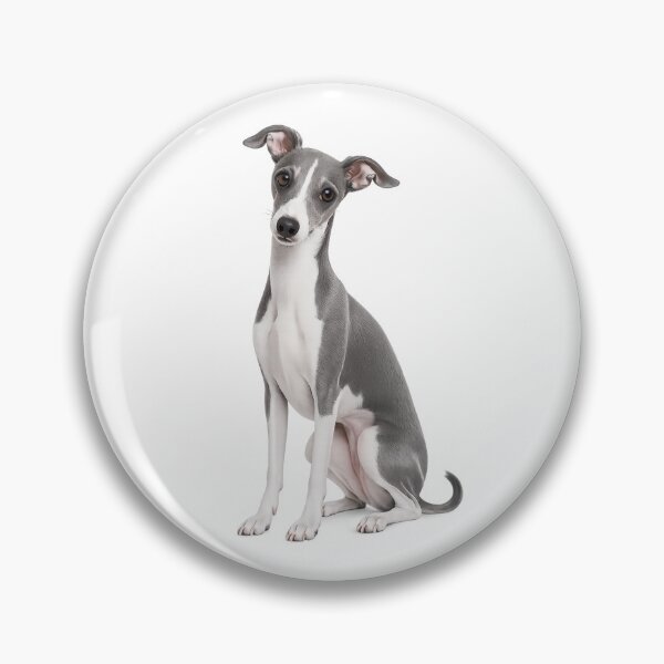 Item preview, Italian Greyhound dog designed and sold by BackgroundND.