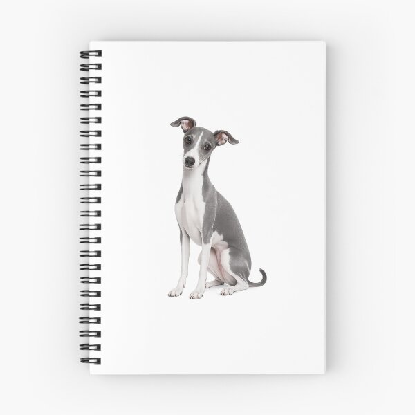 Item preview, Italian Greyhound dog designed and sold by BackgroundND.