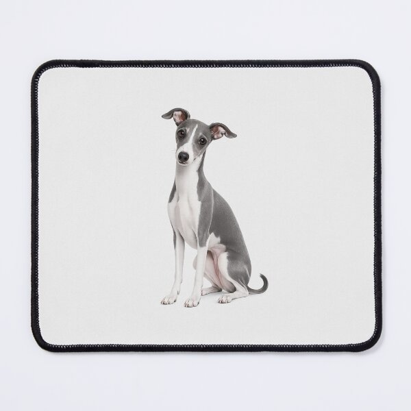 Item preview, Italian Greyhound dog designed and sold by BackgroundND.