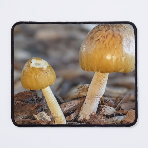 Item preview, The deadly Amanita Subjunquillea designed and sold by HPrespective.