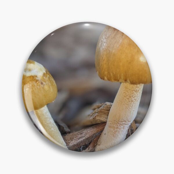 Item preview, The deadly Amanita Subjunquillea designed and sold by HPrespective.