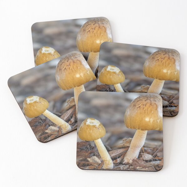 Item preview, The deadly Amanita Subjunquillea designed and sold by HPrespective.
