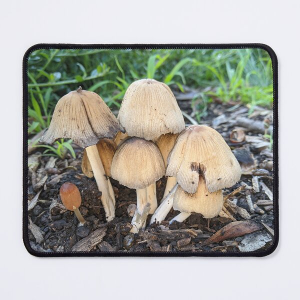 Item preview, Mica Cap Coprinellus Micaceus Mushroom designed and sold by HPrespective.