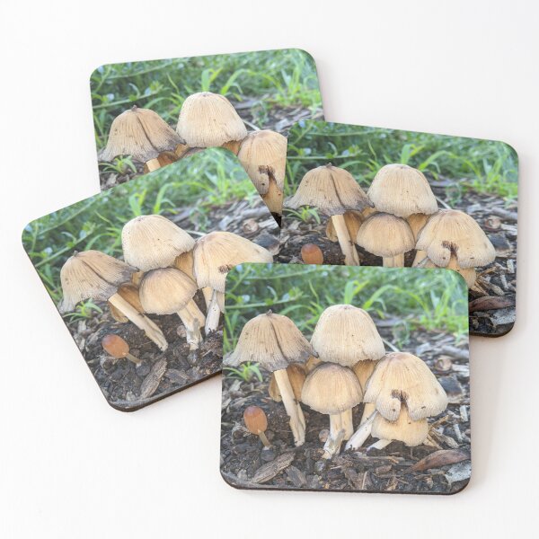 Artikelvorschau, Glimmerkappe Coprinellus Micaceus Pilz entworfen und verkauft von HPrespective.