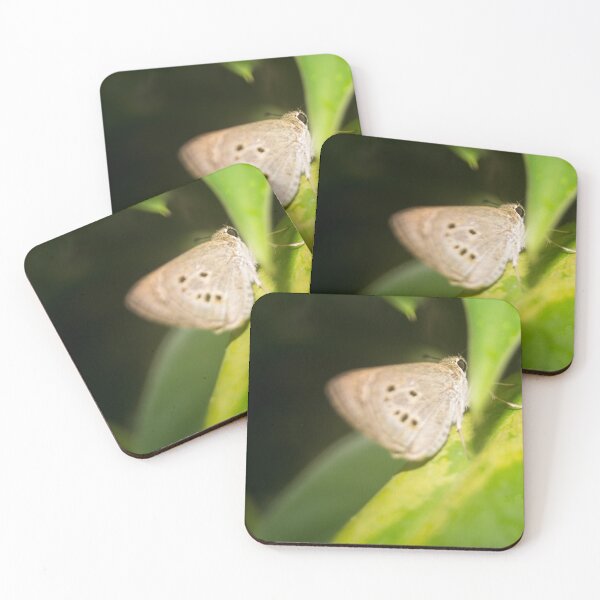Item preview, Oriental Palm Bob designed and sold by ROSE ANN BANILAR.