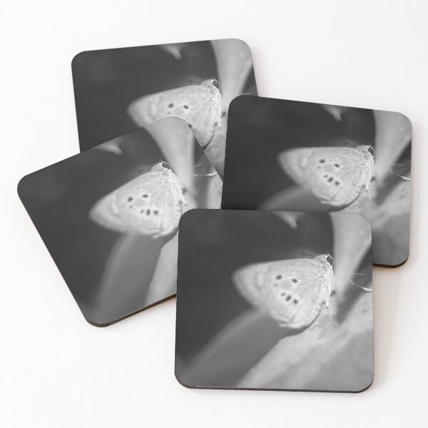 Item preview, B&W - Oriental Palm Bob designed and sold by ROSE ANN BANILAR.
