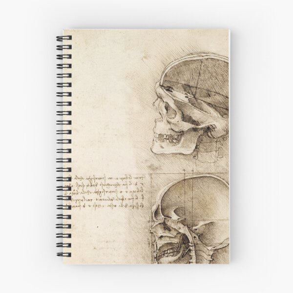 Item preview, Leonardo da Vinci Skull Anatomy Study – Renaissance Anatomical Drawing designed and sold by artofuniverse.