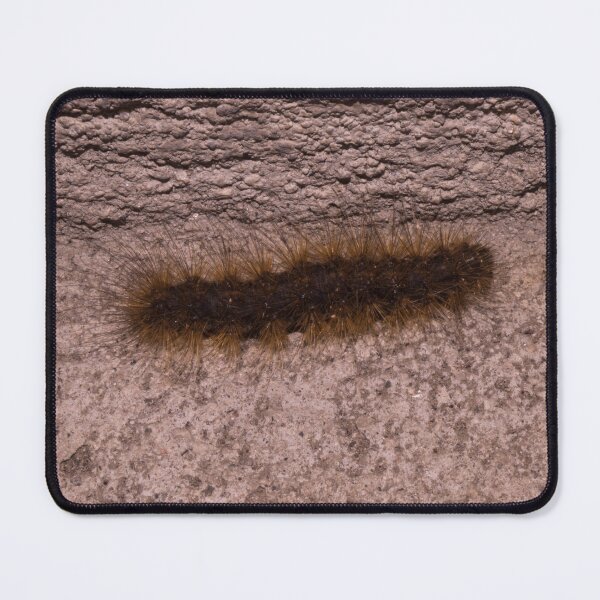 Item preview, Ruby Tiger moth larva designed and sold by ROSE ANN BANILAR.