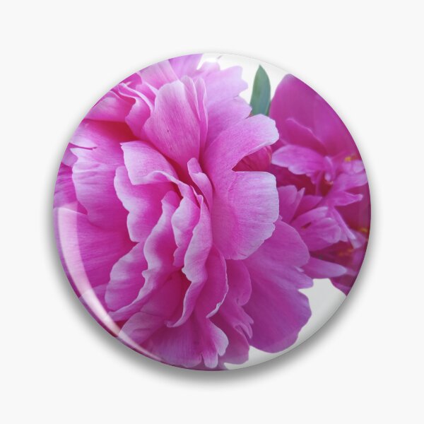 Item preview, Chinese peony flowers  designed and sold by ViolciArt.