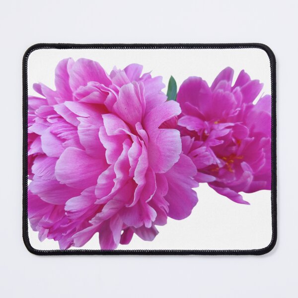 Item preview, Chinese peony flowers designed and sold by ViolciArt.