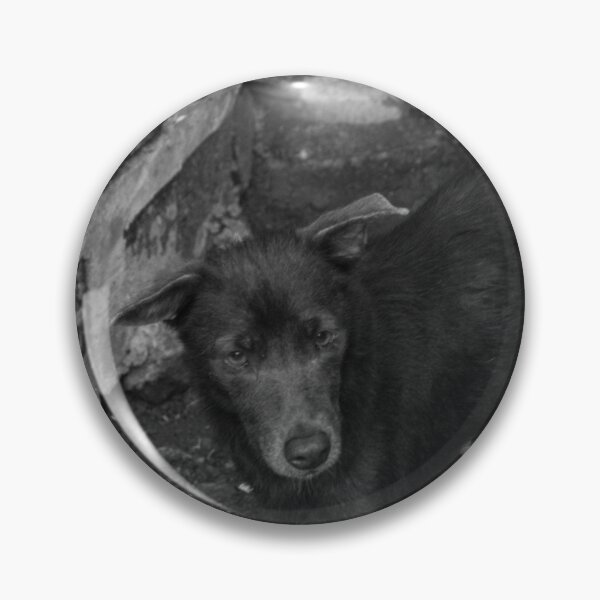 Item preview, B&W - Aspin_03 designed and sold by ROSE ANN BANILAR.