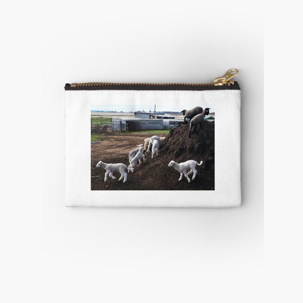 Item preview, Play time for the lambs, Hendon, Queensland designed and sold by Lynette2025.