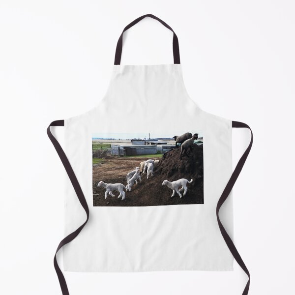 Item preview, Play time for the lambs, Hendon, Queensland designed and sold by Lynette2025.