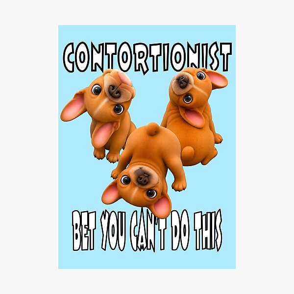 Item preview, French Bulldog CONTORTIONIST  designed and sold by SmARTNiki.
