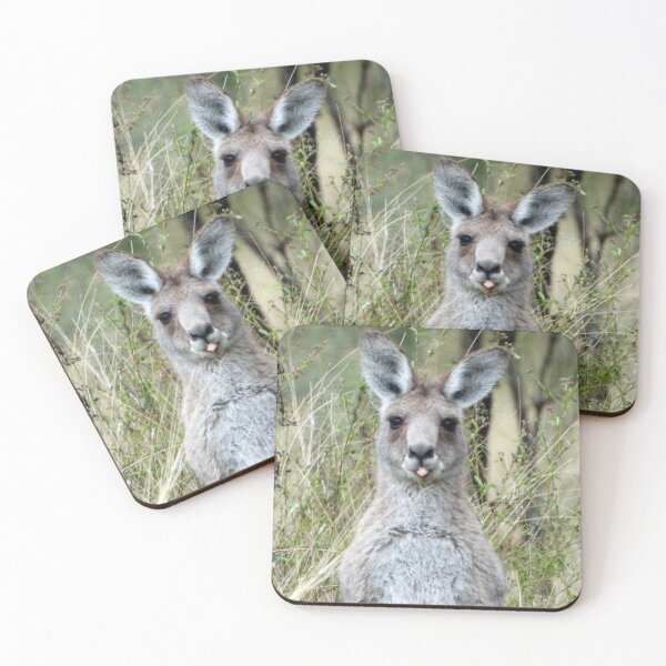 Item preview, Comical moment with a Roo, Connelly Dam, Silverwood, Queensland designed and sold by Lynette2025.