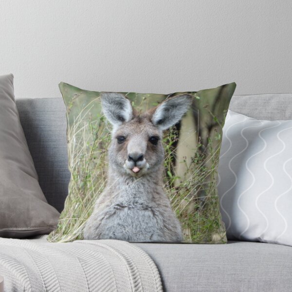 Item preview, Comical moment with a Roo, Connelly Dam, Silverwood, Queensland designed and sold by Lynette2025.