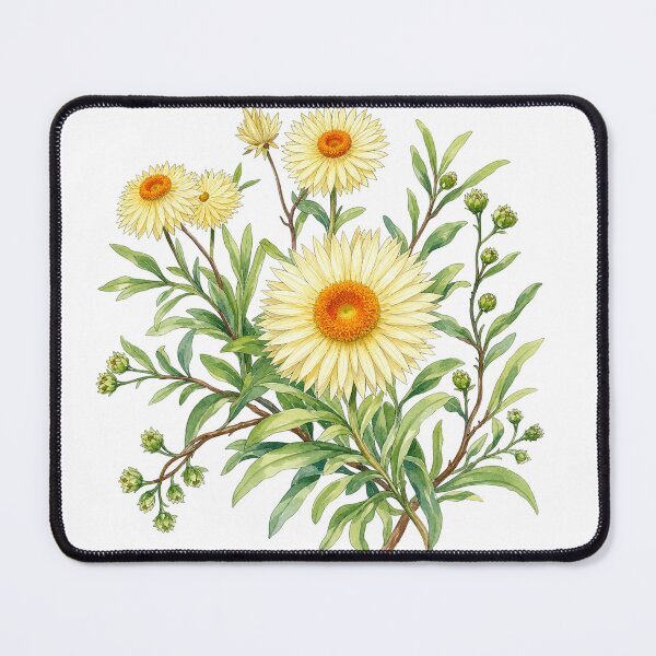 Item preview, Vintage Cottage Yellow Australian Paper Daisies designed and sold by BotanicaBlossom.