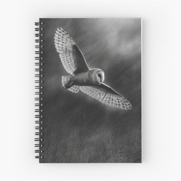Item preview, A Barn Owl sweeping across open farmland, Birds in Motion designed and sold by CDC40.
