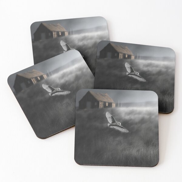 Item preview, A Barn Owl sweeping across open farmland, Birds in Motion designed and sold by CDC40.