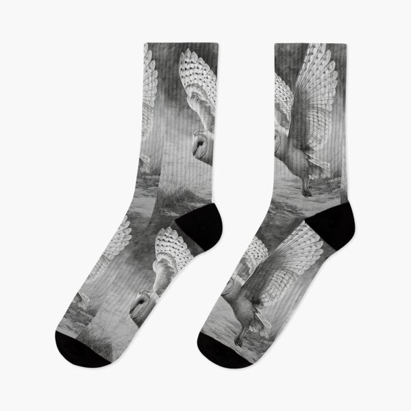 Item preview, A Barn Owl sweeping across open farmland, Birds in Motion designed and sold by CDC40.