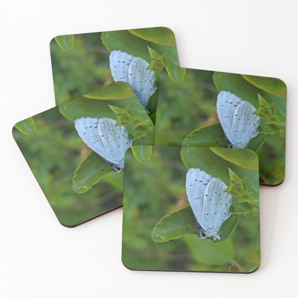 Item preview, Holly Blue butterfly (Celastrina argiolus) designed and sold by PrettyAround.