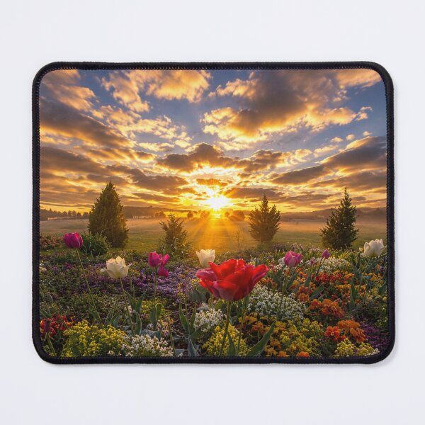 Item preview, Golden Sunrise Over a Blooming Tulip Garden – Vibrant Floral Landscape designed and sold by Wild Bloom Paws.