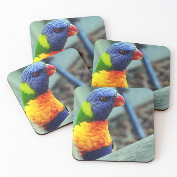 Item preview, Here's looking at you, kid! Rainbow Lorikeet, Warwick, Queensland designed and sold by Lynette2025.